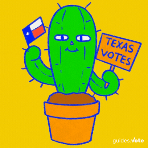 Texas Votes GIF